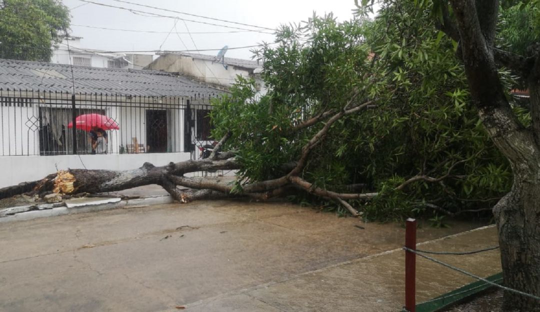 Vendavales: Vendaval causa estragos en el sur de Barranquilla