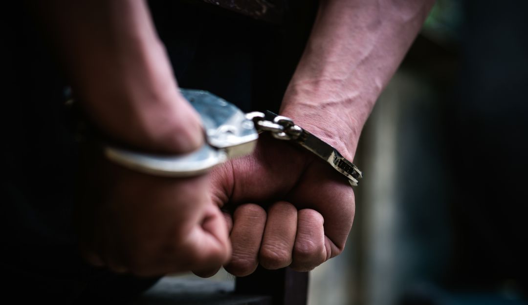 Captura licencias de conducción falsas: Capturan 22 personas dedicadas a expedición irregular de licencias