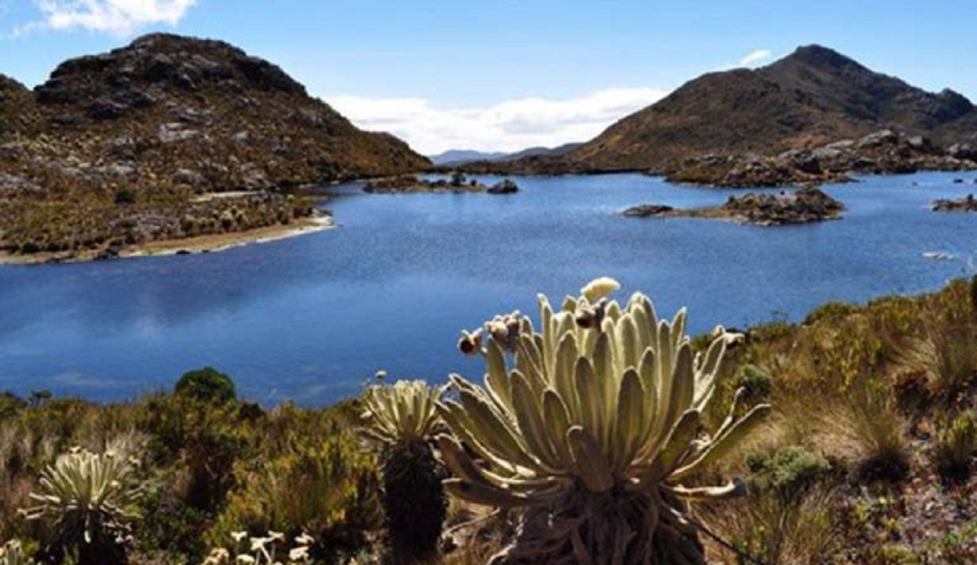 Ambientalistas piden priorizar Santurbán: Ambientalistas piden a nuevo Minambiente priorizar Santurbán