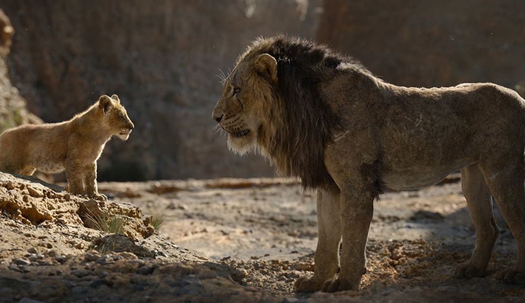 El Rey León animación: El Rey León: Disney pone en marcha la secuela