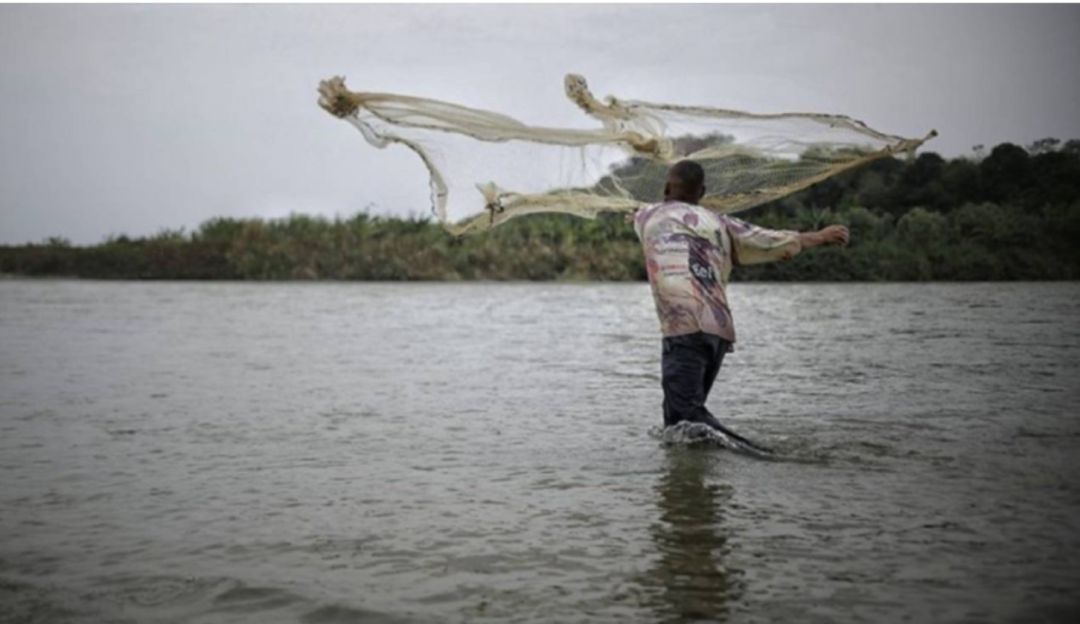 Ayudas para el sector pesquero en Caldas en tiempo de veda: Otorgarán ayudas para los pescadores de La Dorada en tiempo de veda