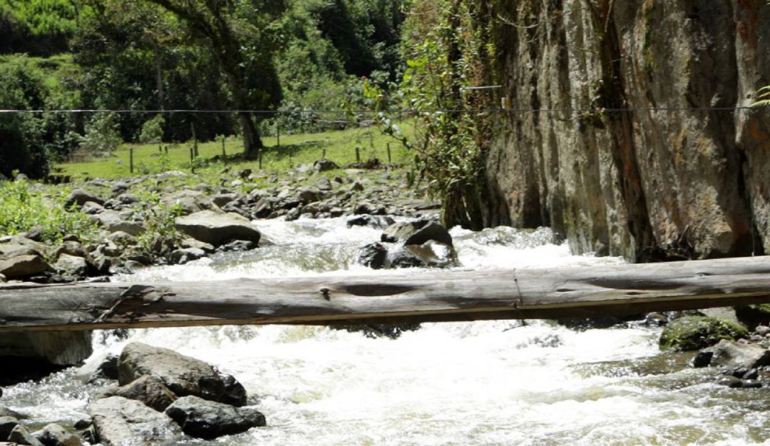 Tolima: El Consejo de Estado dejó en firme declarar sujeto de derecho a tres ríos