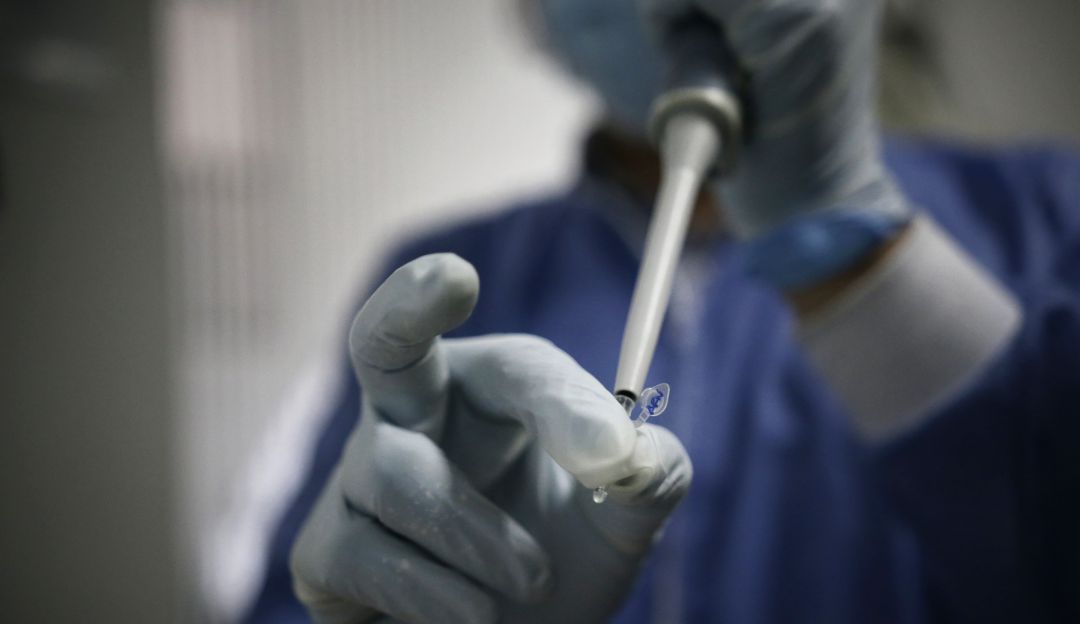 Vacunas contra el Coronavirus: En Cali se hará investigación de vacunas contra el COVID-19