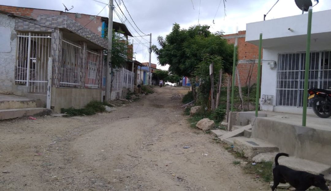 Ratas en barrio 2 de noviembre en Cartagena: Proliferación de ratas en el barrio 2 de noviembre de Cartagena