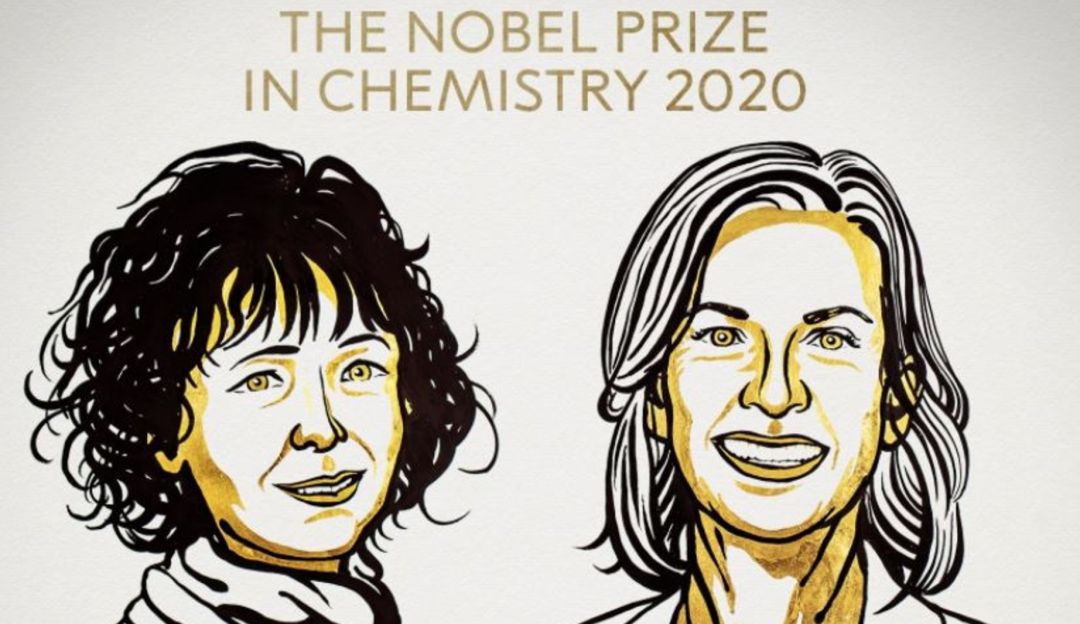Emmanuelle Charpentier Jennifer Doudna: Nobel de Química para las inventoras de las tijeras de edición genética