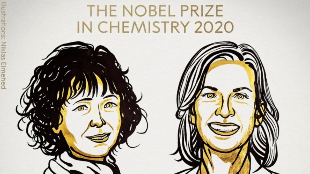 Nobel de Química para las inventoras de las tijeras de edición genética