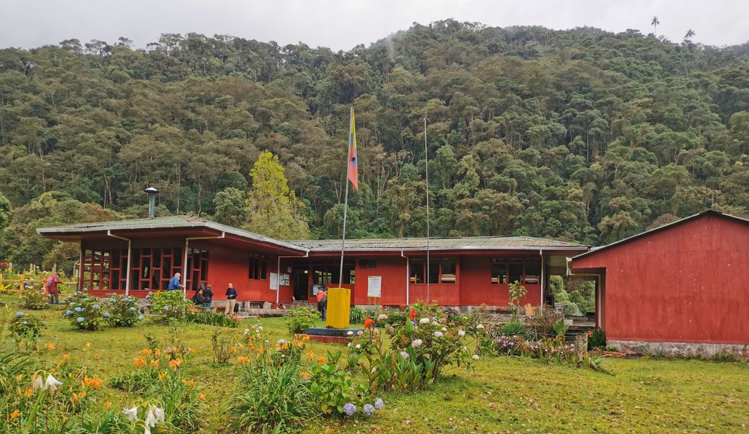 Reapertura de Parques Nacionales Naturales de Risaralda: Reabrirán los atractivos ecoturísticos de la cuenca alta del río Otún