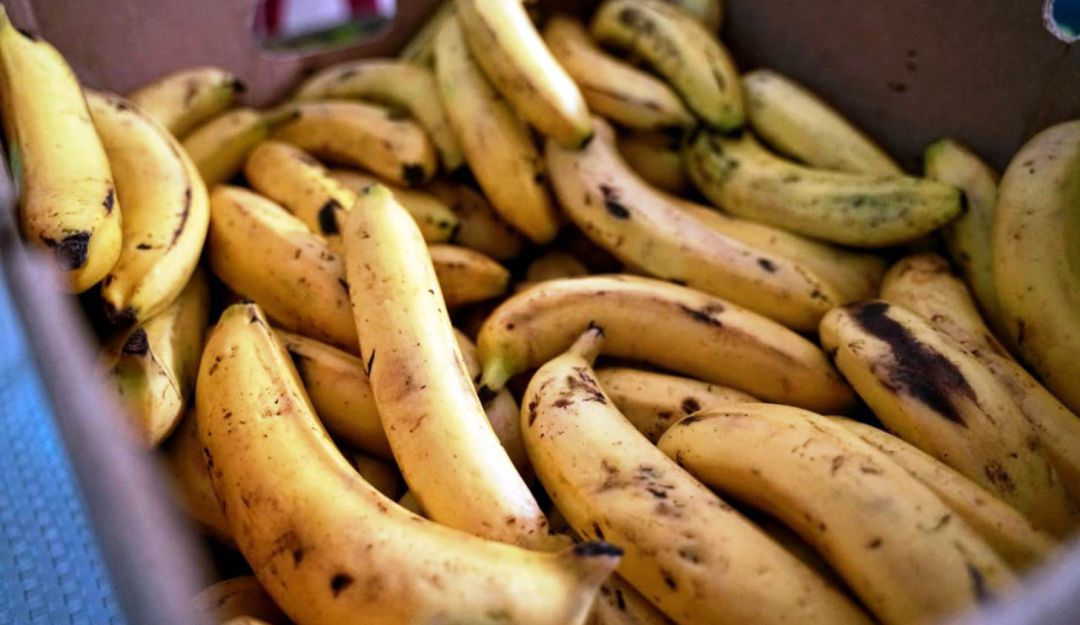 Mercados Regionales campesinos: Mercados Regionales campesinos para apoyar el agro bolivarense