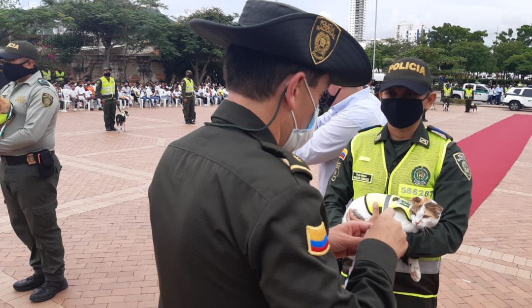 Homenaje a perros y gatos de la Policía en Cartagena: Rinden homenaje a perros y gatos al servicio de la Policía en Cartagena