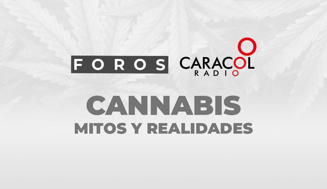 Cannabis, mitos y realidades: Cannabis, mitos y realidades