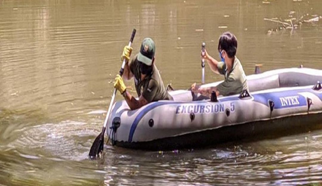 Babilla de Ciudad Jardín: Falleció una de las babillas del lago de Ciudad Jardín