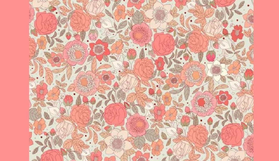 Off Side: Reto visual viral hoy: Reto: ¿Logra ver la fresa entre las flores?