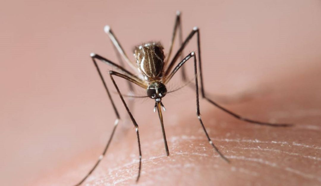 Noticias Neiva: Casos de IRA, Dengue y Tuberculosis en aumento en el Huila