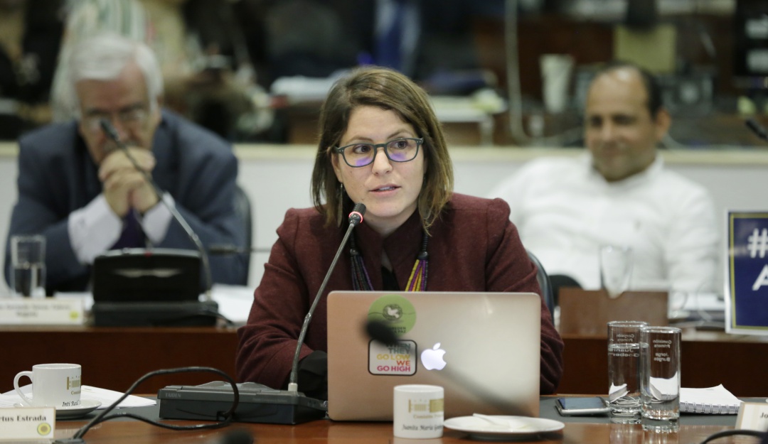 Juanita Goebertus: Críticas a Juanita Goebertus por declaraciones sobre prostitución