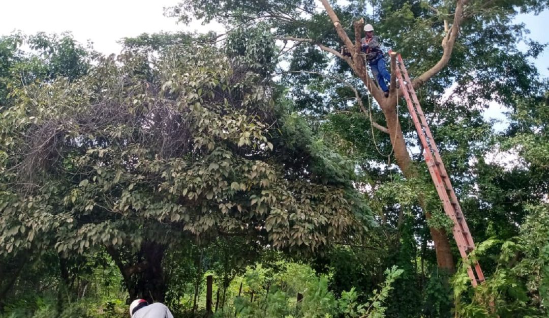 Afinia en Cartagena y Bolívar: Afinia dejará sin luz este viernes a varios sectores de Cartagena y Bolívar