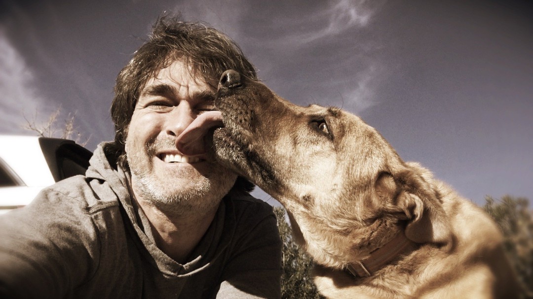 Las verdaderas razones por las que los perros lamen a sus dueños