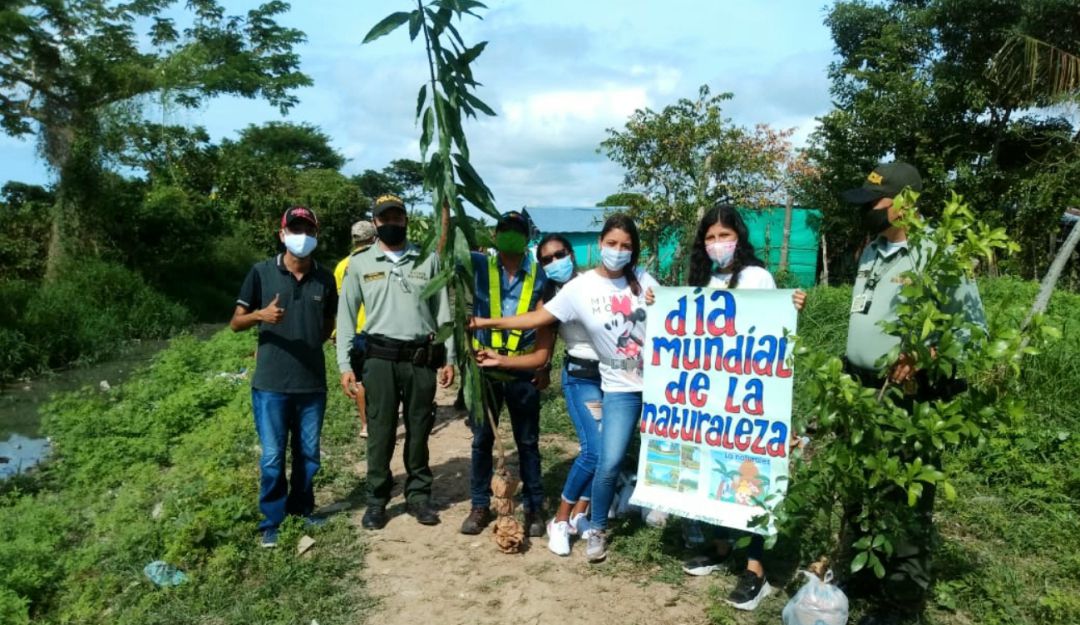 árboles Mompox: Más de 100 árboles de diferentes especies fueron plantados en Mompox