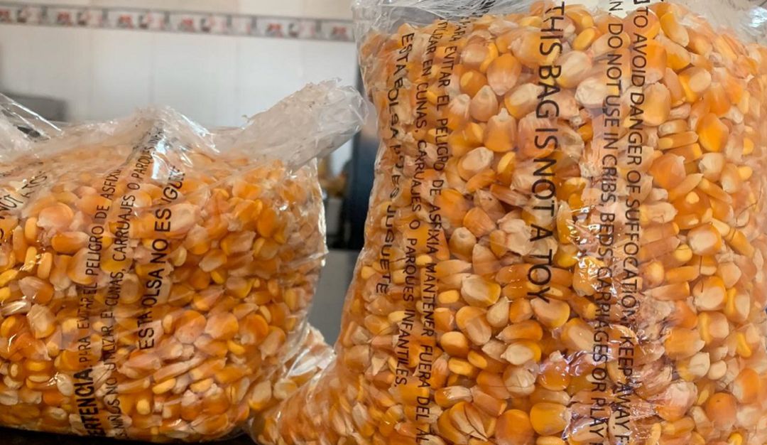 600 bultos de maíz a punto de perderse en Bolívar: Campesinos de Pinillos – Bolívar piden ayuda para vender 600 bultos de maíz