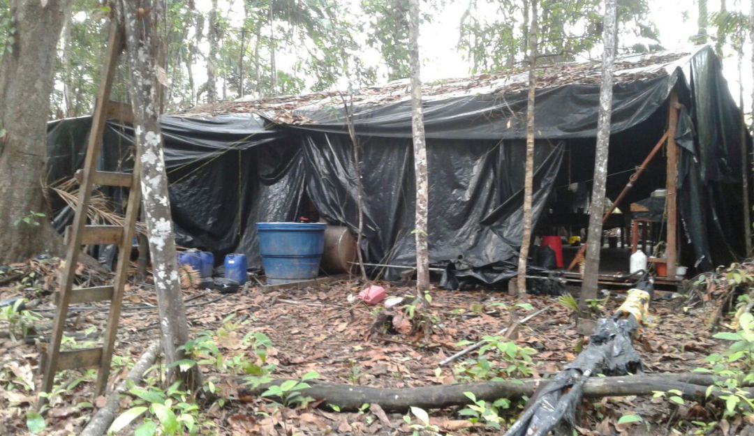 Producción de Droga: Destruyen dos cristalizaderos y depósito ilegal de cocaína en el Guaviare