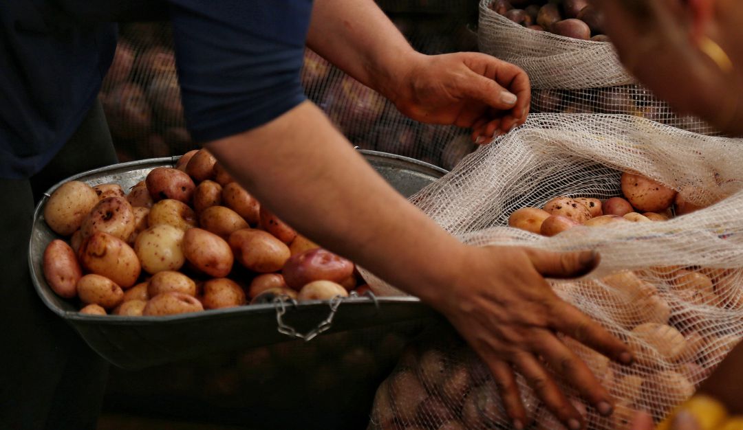 productores papa reciclaje intercambiados reciclable Boyacá kilos: Más de 9 mil kilos de papa fueron intercambiados por material reciclable