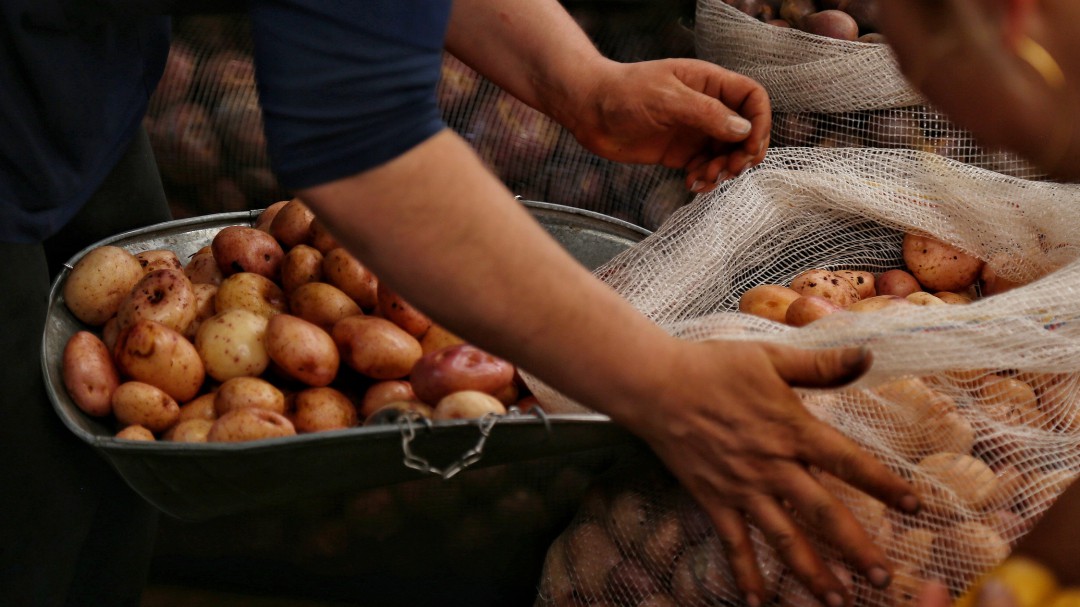 En Barbosa vendieron más de 2 mil kilos en una papatón