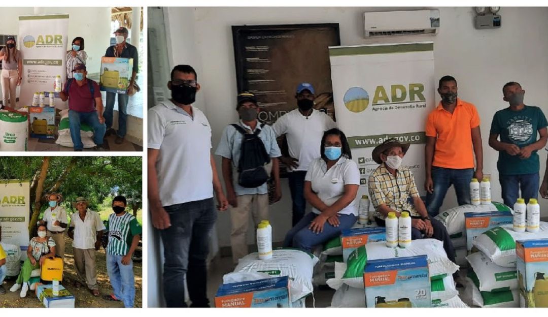 Producción de maíz en Bolívar: Productores de maíz recibieron fertilizantes y herbicidas en Bolívar