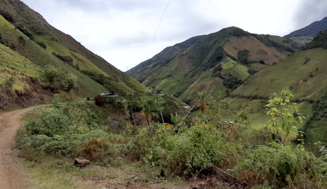 Familias desplazadas Ituango Conguital: Seis familias abandonaron la vereda Conguital en Ituango