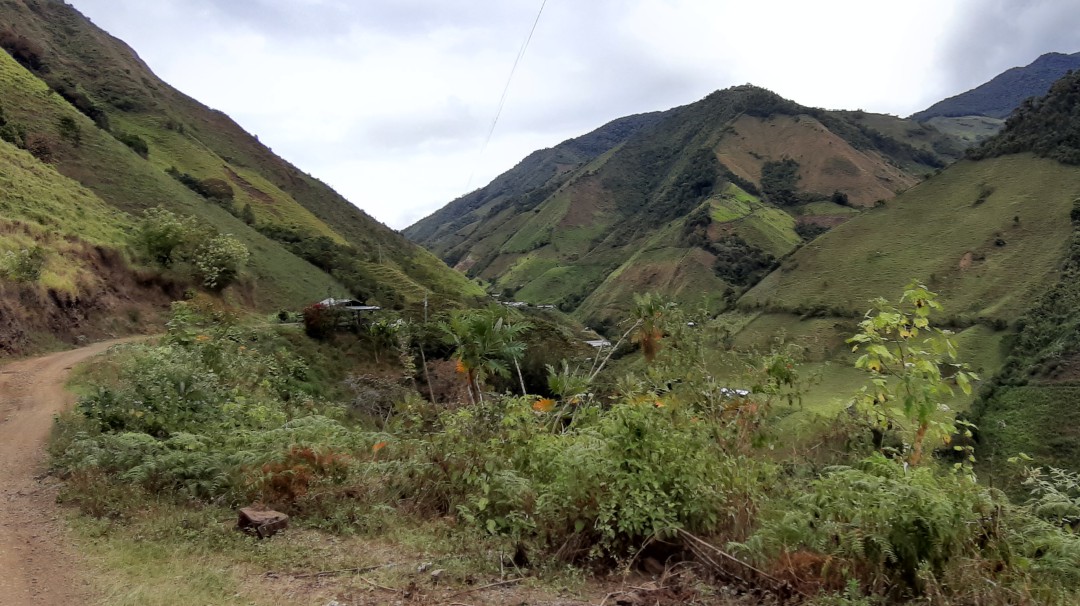 Seis familias abandonaron la vereda Conguital en Ituango