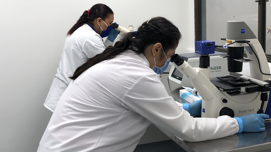 Abren en Urabá laboratorio para combatir Fusarium Raza 4 Tropical