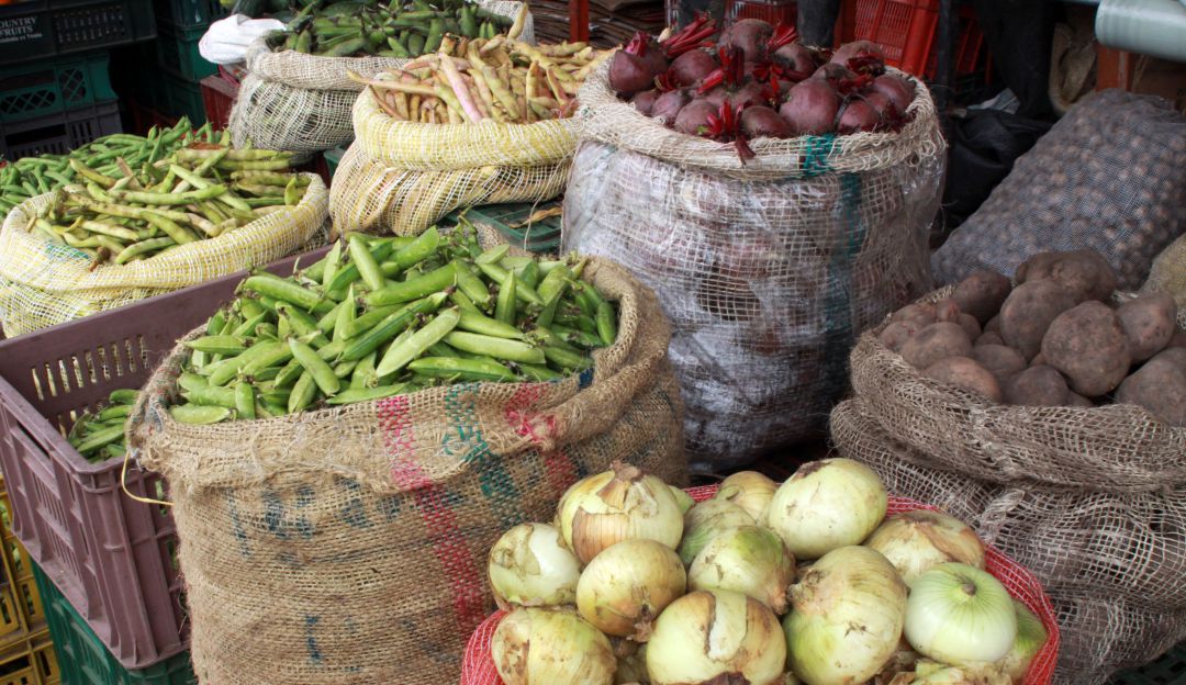 Promoción productos de campesinos de Bolívar: Campesinos de Bolívar promocionan sus productos en una plataforma virtual