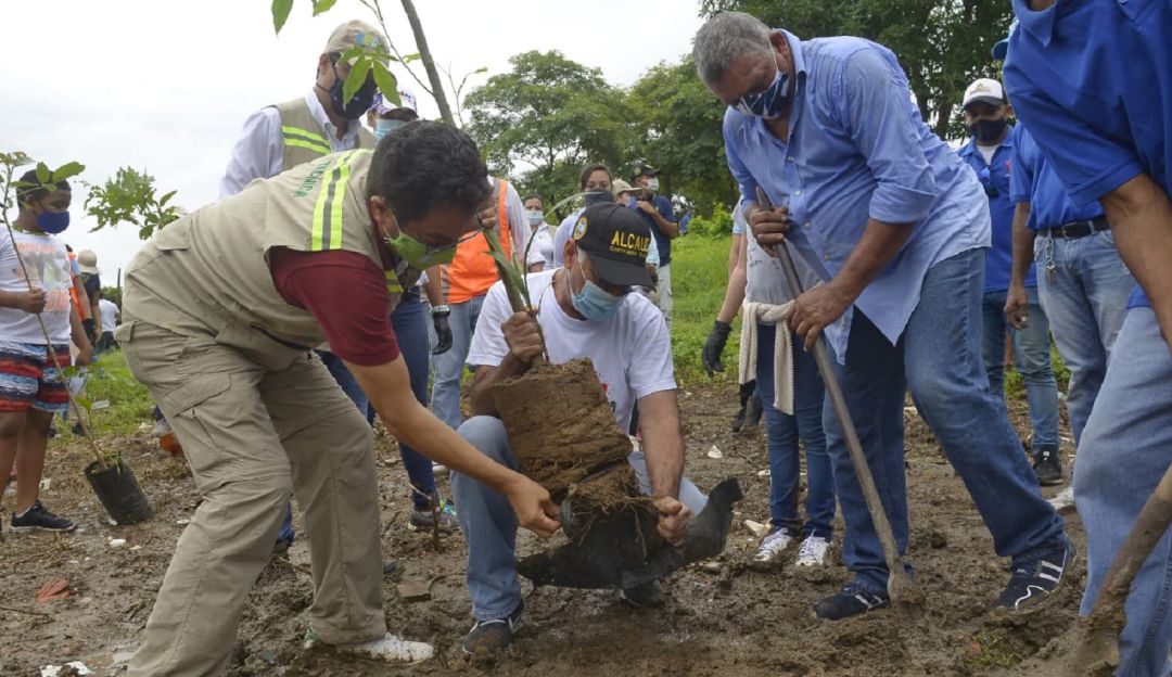 Siembra de árboles en Cartagena: Siembran 300 árboles en cuarta etapa de Las Gaviotas en Cartagena