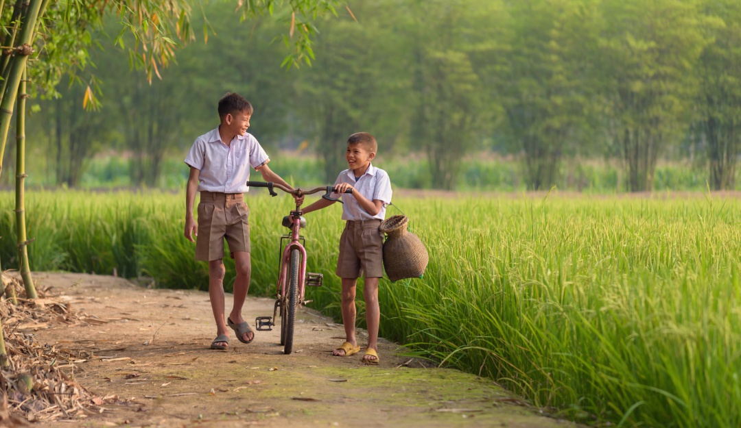 Educación virtual Colombia: "No estamos preparados para la educación digital en el campo"