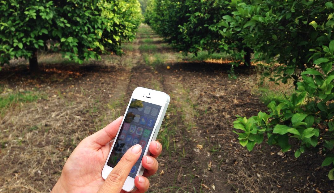 Boyacá tendrá 692 nuevos Centros Digitales Rurales en el 2021: Boyacá tendrá 692 nuevos Centros Digitales Rurales en el 2021