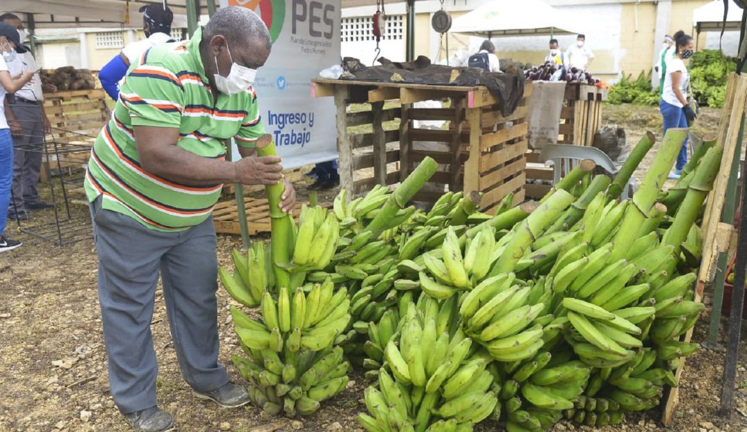 Mercados campesinos: Realizan mercado campesino en Cartagena