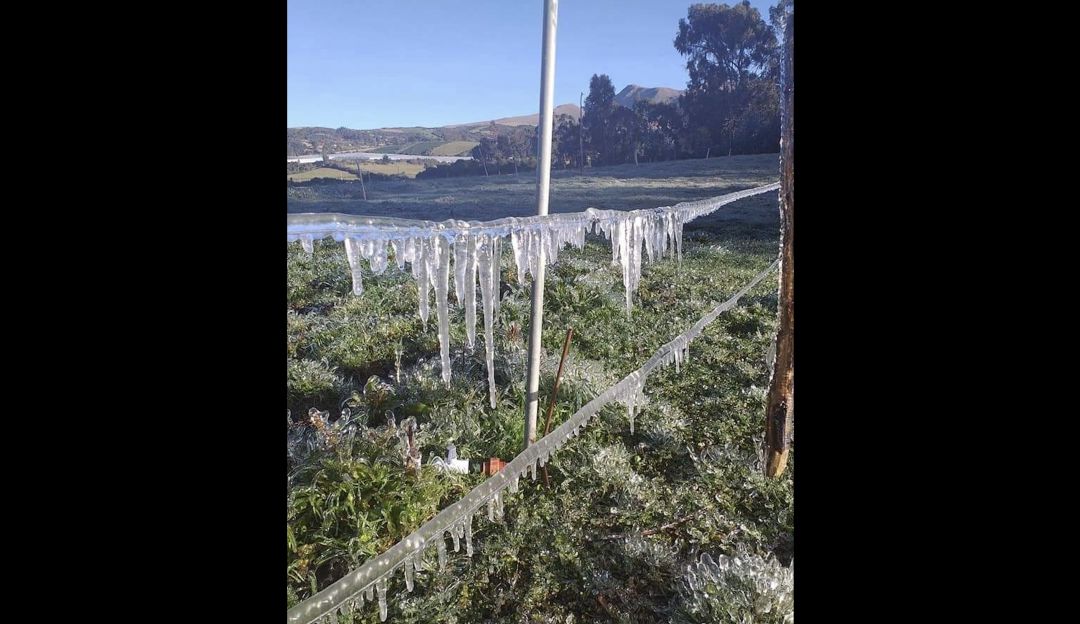 Heladas en Nariño: Nueve municipios afectados por heladas en Nariño
