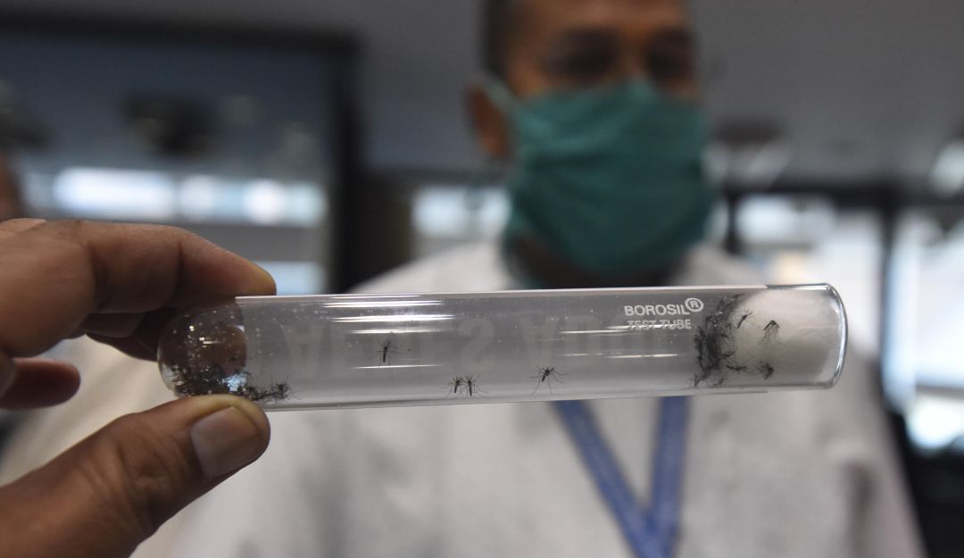 Situación del paludismo en Colombia: Aumentó la tasa de afectados por malaria en Colombia