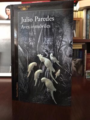 Libros: Premio Nacional de Novela 2020 para Aves inmóviles de Julio Paredes Libros: Premio Nacional de Novela 2020 para Aves inmóviles de Julio Paredes