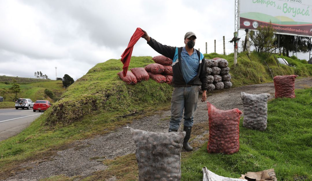 Crisis de cultivadores de papa: A la carretera han salido cultivadores de papa a 'regalar' el producto