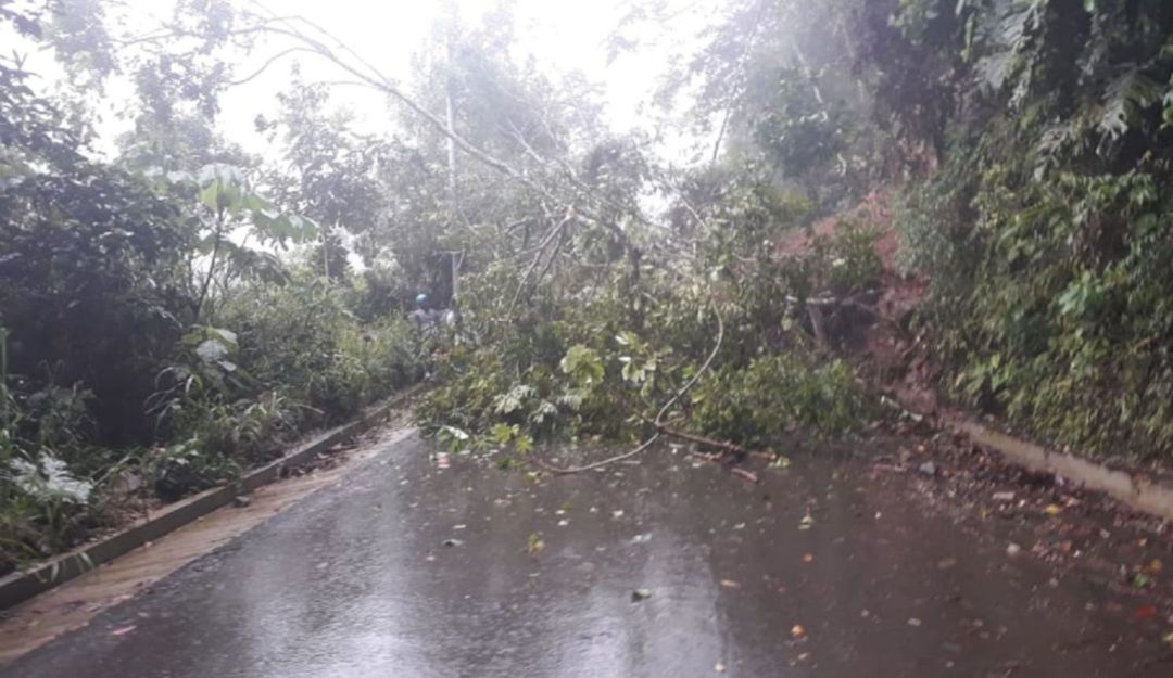 Deslizamientos de tierra en Risaralda: Deslizamientos de tierra en tres municipios de Risaralda por las lluvias