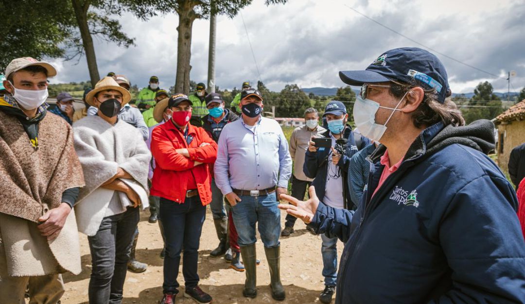 Productores de papa: Avanza programa de apoyo a la comercialización a productores de papa