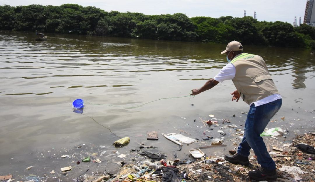 Mortandad de peces en Cartagena: Analizan condiciones de dos lagunas en Cartagena por mortandad de peces