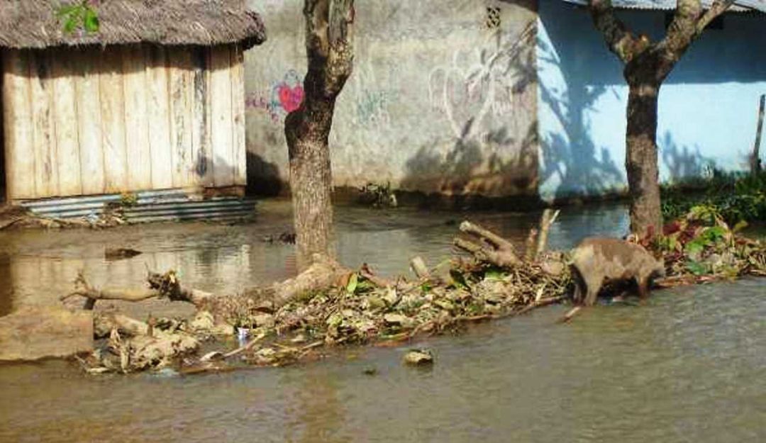 Achí, Bolívar: Presentan obras para contener erosión e inundaciones en Achí, Bolívar