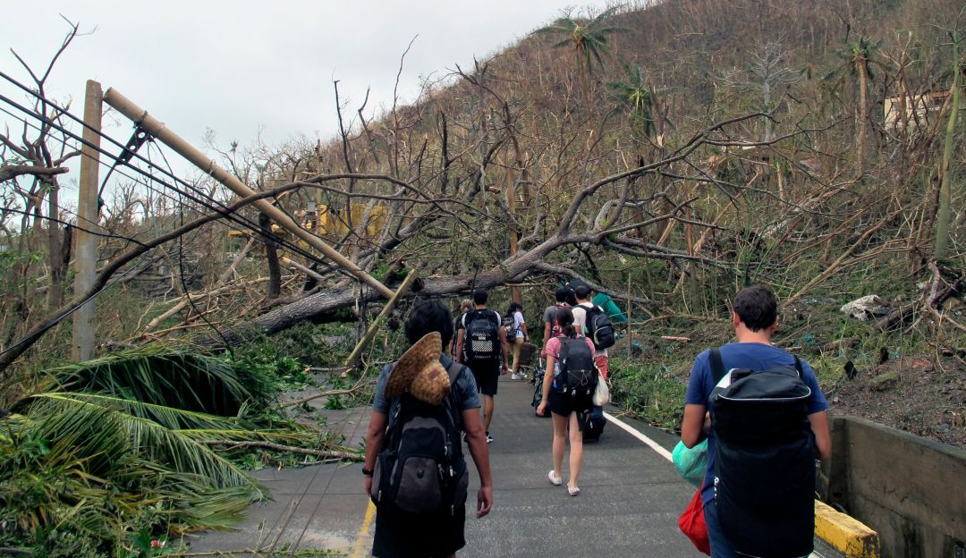 Huracán San Andrés Providencia: Activarán plan de reforestación en Providencia