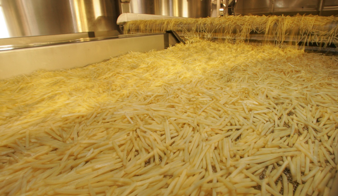 Producción patatas: Papas procesadas, alternativa para superar la crisis