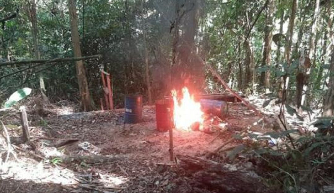Destruyen laboratorio de cocaína en Turbo del Clan del Golfo: En Turbo desmantelaron un laboratorio de cocaína del Clan del Golfo