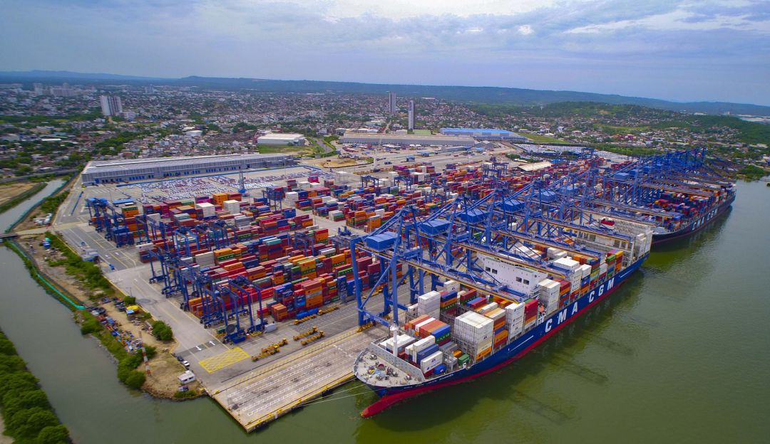 Puerto de Cartagena: Exportan ñame de El Carmen de Bolívar a países europeos