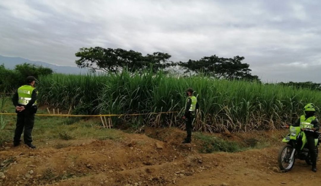 Grave denuncia contra ingenios en el Valle del Cauca: Denuncian complicidad de ingenios para tráfico de drogas por cañaduzales