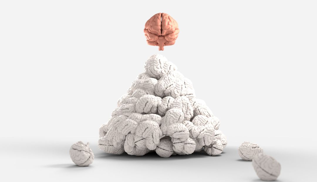 ¿Qué es la neurología?
