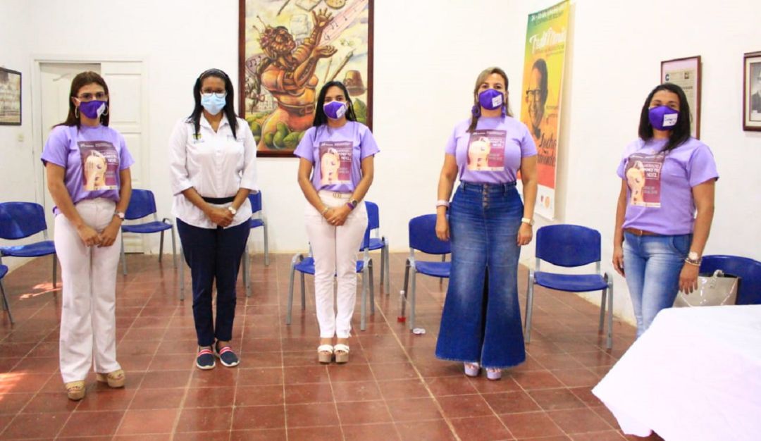 Violencia contra la mujer en El Carmen de Bolívar: El Carmen de Bolívar conmemoró el día de la no Violencia contra la Mujer
