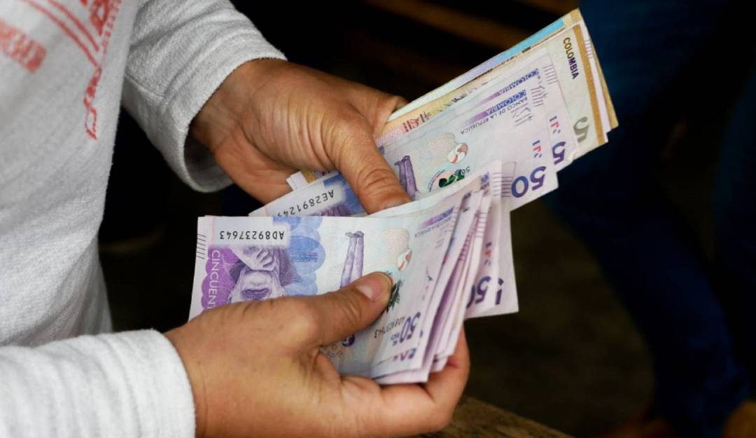 OCDE economía Colombia: OCDE rebaja previsión para la economía colombiana en 2020